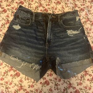 American Eagle Outfitters Blue Distressed Jean Shorts